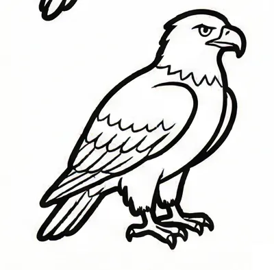 how to draw a bird step by step 1.webp